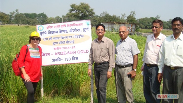 Chief Agronomist ICL Israel