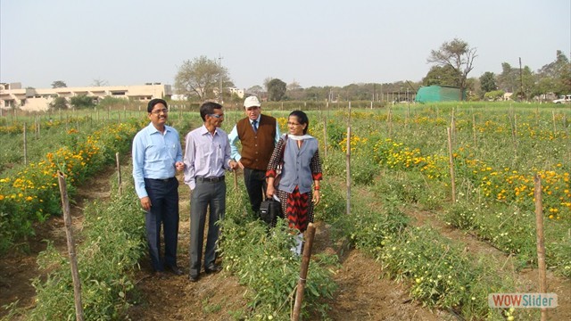 Principle Scienst IARI New Delhi