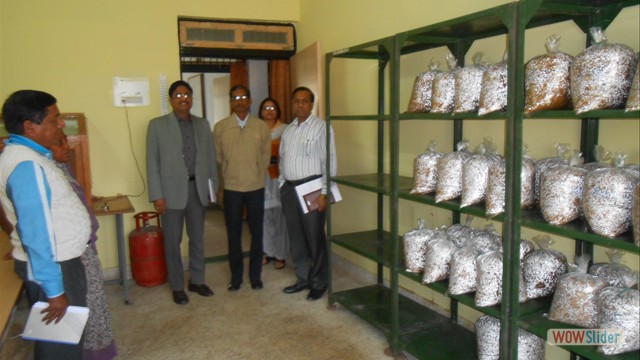 bootstrap carousel example