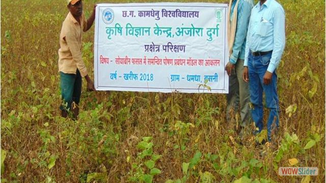 Assessment of INM module for soybean