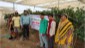 Assessment of Hi-tech vegetable cultivation techniques of capsicum in durg District