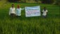 Assessment of Integrated Disease Management in Paddy