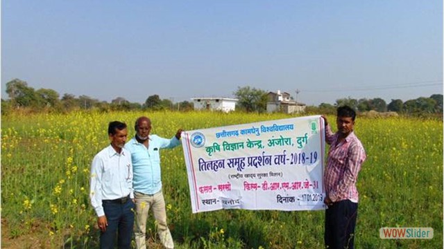 CFLD on Mustard at village Thanod