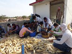 RAWE Students Training