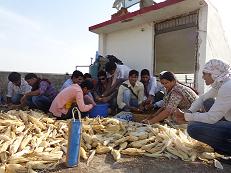 RAWE Students Training