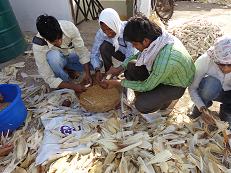 RAWE Students Training