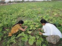 RAWE Students Training