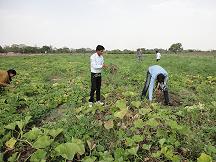 RAWE Students Training